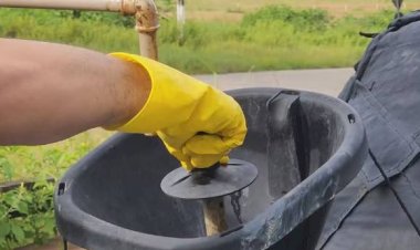 Projeto no Amapá transforma caroço de açaí em gás de cozinha e avança para nova etapa